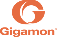 Gigamon